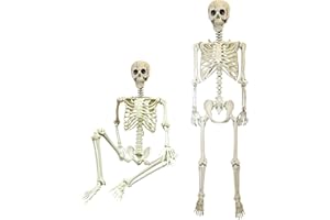 SHATCHI Halloween Decoration Life Size Poseable Skeleton 165cm – Realistic Human Skeleton Prop with Movable Joints -Haunted House Graveyard Scene Halloween Pirate Horror Themed Parties
