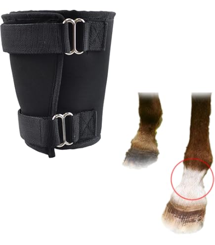 Kentucky Fesselschutz Für Pferde – Schwarz, Neopren, Mit Klettverschluss – Einheitsgröße