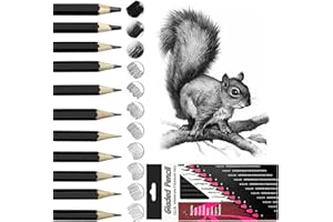 Wonwood_direct Bleistift Set, 12-Teiliges Zeichenstifte, Bleistifte Zeichnen von 2H bis 8B Zeichenset mit Graphitstifte für Künstler, Kinder, Erwachsene, Zeichnungen, Skizzieren Liebhaberin (Typ 2)