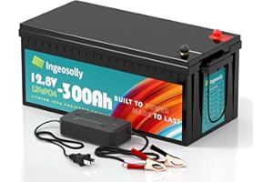 INGEOSOLLY 12V 300Ah LiFePO4 Lithium Batterie, 100A BMS, 8000+ Zyklen Deep Cycle Lithium Akku, MAX 3840Wh Leistung, Perfekter Ersatz für Blei-Säure Batterien für Wohnwagen, Camping, Solar Home Systeme, Boote