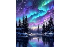 NEWENMO Adult Paint by Numbers Canvas Kits,Aurora Borealis Painting by Number,Forest Night Scenery Paint by Numbers Kits,DIY Craft Art Painting Kit,Oil Painting Kits,for Home Decoration 40x50cm