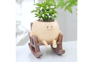 Mailfull Pot de Fleurs avec Visage Souriant Pot Fleur en Résine pour Chaise à Bascule avec Trou de Drainage Pot de Fleurs Succulentes Créatives pour Décoration D'intérieur (01)