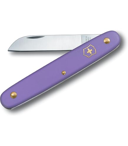 WONDAY Confezione Da 5 Coltelli Da Fiorista – Lama In Acciaio Inox 2CR14 – Manico In PP Antiscivolo – Lunghezza 16 Cm – Per Tagli Precisi