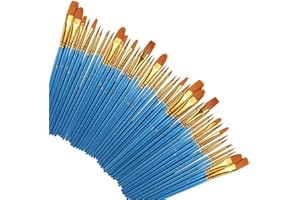 FENRAD Pinceaux Peinture Acrylique, Lot de 50 Pinceaux artistiques en Nylon pour Peinture Acrylique, Peinture à l'huile, Peinture à l'aquarelle, Peinture à la Gouache, Peinture sur Visage
