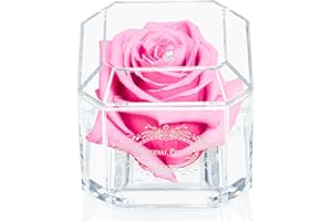 A 100% Real Rose That Lasts Years - Eternal Petals, Handmade in UK – White Gold Solo with A Multicolor Crystal (Pink)