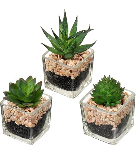 blumenkasten breite XL Pflanzkasten 