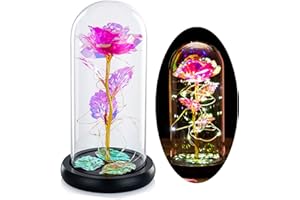 GLASSEAM Piękna i Bestia, róża w szklanej kopule, wieczna róża, zestaw, zaczarowana galaktyka, lekkie prezenty dla kobiet, dziewcząt, dorosłych, mam na walentynki, Dzień Matki, ślub, rocznicę, urodziny