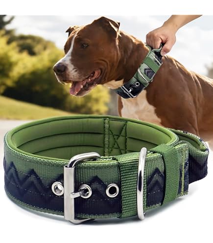 Breites Hundehalsband 4 cm, gepolstert & verstellbar  Robustes Nylon  Halsband fr groe Hunde  trkis mit Metallschnalle, Gre 44-50 cm :  Amazon.de: Haustier