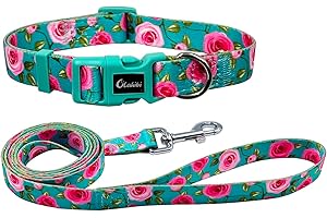 Olahibi Polyester Dog Collar Leash Set,Rose Pattern Collar and 150CM Matching Lead for Small Dogs.(S, Green Rose Set)