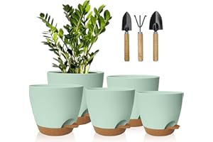 IDEALIFE Macetas para Flores Juego de 5, 17.8/16.5/15.2/13.9/12.7cm macetas de Auto-riego, Maceteros Decorativos Interior con Agujeros de Drenaje,Macetas De Flor para Interior para DecoracióN(Marrón Verdoso)