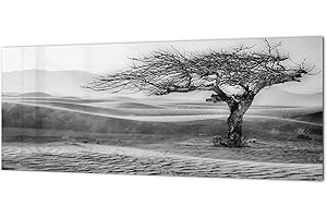 CONCEPT CRYSTAL Panneau de cuisine contemporain en verre - Dosseret mural grand format BBS02