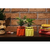 Leafy Tales Set of 2 Mystic Pot Ceramic, Pot only (Set of 2)| Multicolor