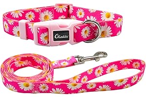 Olahibi Basic Dog Collar and Leash Combo Set, Daisy Pattern, Polyester Webbing, Collar and 150CM Matching Leash for Medium Dogs.(M, Daisy Set)