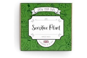 THE LOVELY STUFF COMPANY Sensitive Plant (Mimosa Pudica) Grow Kit: Seeds, Soil & Instructions | Fast Germination, Coco Coir Soil Mix | Educational Gardening Experience