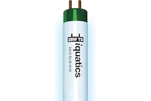 iQuatics Juwel Compatible Aquarium Fluorescent Light Bulb T5 (Single), Aqua Blue 50:50, 28w 590mm 24"