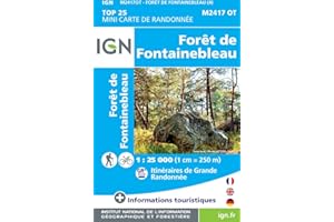 M2417O Mini foret de fontainebleau