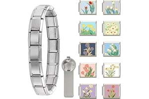 Paffartt Italian Charms Bracelet Sets for Man Woman Removable Classic Stainless Steel 9mm Module Links with Opening Tools Hand Painted for DIY Fashionable Jewelry Gifts