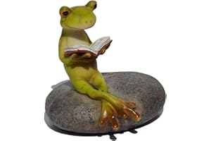 Top Collection - Statua in miniatura per giardino delle fatine e terrario, motivo: rana