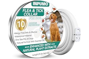 INPUMO Flea Collar for Dogs, Adjustable Dog Flea Collars 10 Months Natural Waterproof Flea Treatment for Dogs Flea and Tick Dog Collar for Small, Medium and Large Dogs (1Pack)