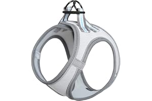 HEELE Harnais Chien Harnais Chien Anti-Traction Réfléchissant Gilet Réglable Harnais pour Petit Chien pour Randonnée Trajet Voiture, Jack Russell Harnais Réfléchissant Respirante Durable, Gris, S