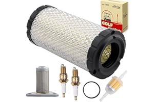 Roykaw EZGO Tune Up Kit with Air Filter Oil Filter Spark Plug Fuel Filter for TXT/RXV/ST350/Workhorse Gas Golf Cart Models (EZGO TXT W/MCI Motor, RXV W/Robbins Motor)