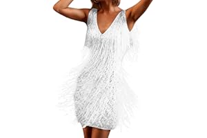 GENERIC Women's Tassel Flapper Dress Vintage Dance Dress Fancy Sleeveless Fringe Ballroom Dancewear Cocktail for Latin Tango Samba Cha Cha Party Sparkly Suspended Cocktail Party