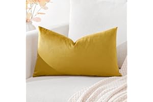 Artscope Housse de Coussin en Velours Décoratif Canapé Taie d'oreiller Super Doux Decoration Maison Salon Chambre pour Canapé 40x60cm Or