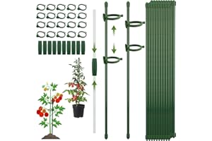 CNMTCCO Bastoncini per Orchidee, 20 Pezzi Supporto per Piante Stabilizzare, Viene Fornito con 20 Moschettoni con 10 Tubi di Srolunga, Sostegno per Piante per la casa, il giardino