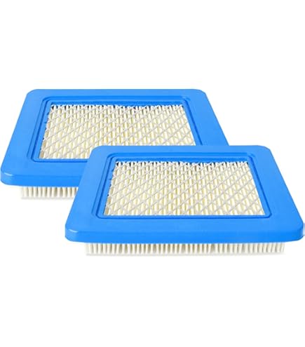 Filtro Aria Quantum ORIGINALE HP 5-6 E 675 Da 190 Cc BRIGGS &amp; STRATTON 491588 S