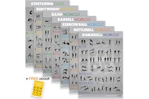 ALPINE CHOICE Gym Posters for Home Gym - Workout Poster 7 Pack Includes Weight Lifting Poster, Dumbbell Poster, Kettlebell Workout Chart and More. Each Fitness Poster is 42x71 CM. Gym Poster Bundle Made in the UK.