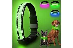 AOZOOM Light Up Dog Collar, Rechargeable & Adjustable LED Dog Collar for Night Walking, 3 Modes, 200m Visibility, Green S
