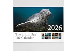 HAGUE 2026 British Sea Life Wall Calendar Featuring Stunning Photography of Sea Life Throughout Britain - Includes All UK & World Holidays & Dates Included | Perfect Christmas Calendar for Home & Office