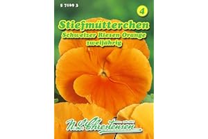 Viola wittr.‚ Stiefmütterchen, Schweizer Riesen, Orange N.L.Chrestensen