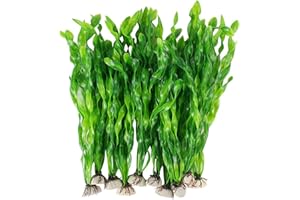 Shinekoo Lot de 10 plantes artificielles en plastique pour aquarium - Algues d'eau artificielles - Plantes sous-marines pour décoration d'aquarium