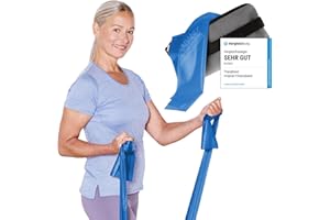 ARTZT - QUALITY SPORTS AND HEALTH EQUIPMENT TheraBand 2,50m inkl. Türanker + Tasche | Widerstandsbänder | Terrabänder | Gymnastikband | Fitnessband | Stretchband | Heimtraining, Krafttraining, Rückenübungen, Therapie, Reha | 100% Naturlatex