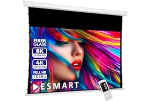 ESMART Professional TATENSO Płótno tension z oświetleniem dziennym, szare [wybór rozmiaru] 221 x 125 cm (100") 16:9, programowalny pilot zdalnego sterowania, kino domowe, elektryczny rzutnik, ekran