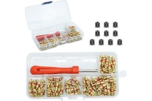 AMANDELIZABE 100Pcs Desmonte Válvula Neumático Herramienta Desmontaje de proyectiles Con 10 tapones de válvula, Herramienta de reparación de válvula con 100Pcs Válvula Core para Coche Sustitución, 4-1 Herramienta