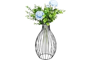 CMOISO Metal Frame Vase, Glass Test Tube Vase, Creative Lantern Shape Hydroponic Plant Glass Vase for Decorating Home and Office