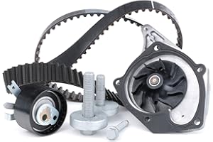 Ina 530019731 Kit Tendicinghia