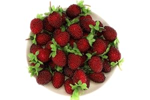 ‎GRESORTH Gresorth 30pcs Artificial Raspberry Fake Fruit Decoration Home House Kitchen Cabinet Food Toy Model