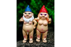 RENYIGOU 2Pcs Garden Gnomes - Rude and Playful Resin Dwarf Statues for Indoor or Outdoor Lawn Decor, Perfect for Novelty Gifts and Adding Humor to Your Garden
