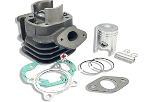 LG-MOTORS POWER ENGINEERING GRUPPO TERMICO 50cc CILINDRO Ø40 MOTORI MINARELLI VERTICALE BOOSTER