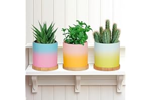 FUNISTREE 7.5CM Handmade Succulent Plant Pot Set, Gifts for Women Mum Christmas, Small Ceramic Cactus Plant Pots Indoor Housewarming Gardening Gift, Xmas Secret Santa Presents for Friends Sister Teenage Girls