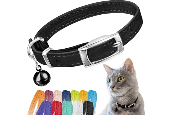 CollarDirect Collier de sécurité en Cuir pour Chat avec Sangle élastique, Collier pour Chaton avec Clochette, Noir, Bleu, Rouge, Orange, Vert Citron (pour Cou de 22,9 à 27,9 cm, Noir)