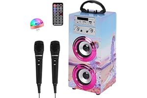 DYNASONIC Karaoke Machine with 2 Microphones, Portable Bluetooth Speaker with Lights, USB and SD Reader, Gift for Children Ages 5-13 (Model 17 lights)