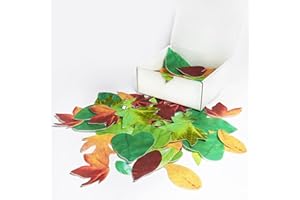 DECOFLOR ITALIAN PIE - Foglie in cialda per decorazioni per torte, gelati e dolci in genere - 100Pz. MADE IN ITALY