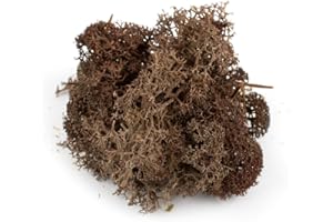 WWS WAR WORLD SCENICS War World Scenics Lichen Brown Moss Model Foliage 60g – Model Railway Wargame Scenery Landscape Modelling Trees Bushes Hedges Diorama Basing Material