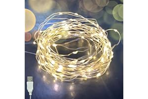 TsaoNyMa 10M 100 LED Catena Luminosa Interno Con presa USB Rame filo Ghirlanda Catena Luminose Lucine Fata Luci Per Giardino Casa Feste Albero di Natale Matrimonio Decorazioni
