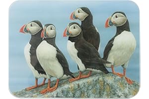 Robert E Fuller's Puffin Glass Worktop Saver, Large Luxury Chopping Board, Non-Slip Rubber Feet, Stain Resistant, Puffin Gift, Wildlife Lover Gift (WORKTOP Saver | Puffin)