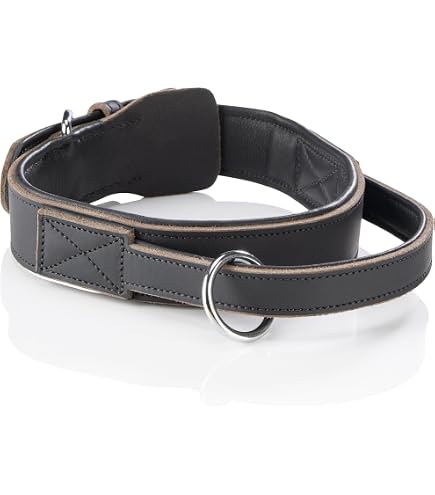 PET ARTIST Hundehalsband Leder Mit Griff - Für Große Hunde